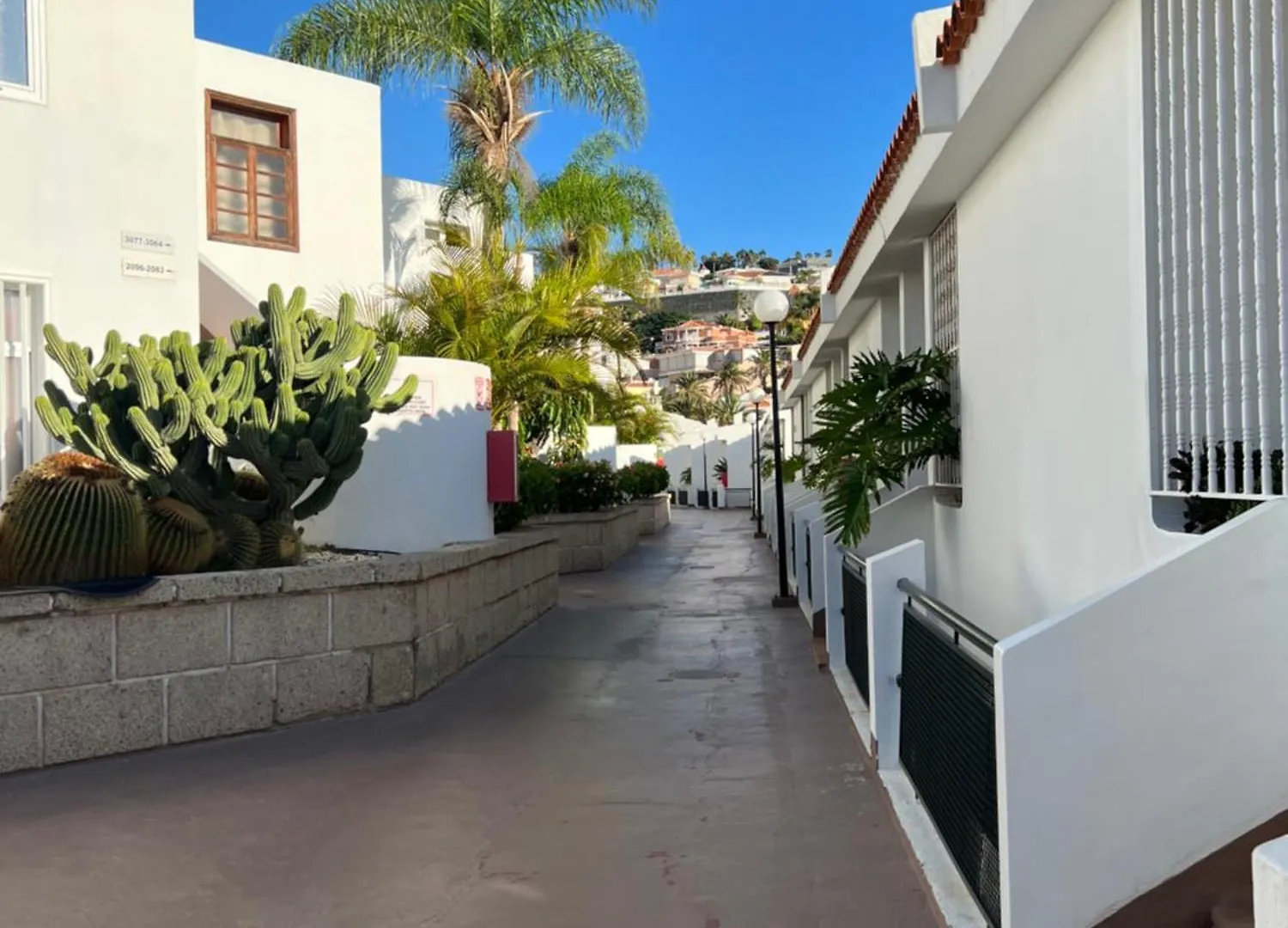 Lovely Sunny Apartment Costa Adeje  Spain